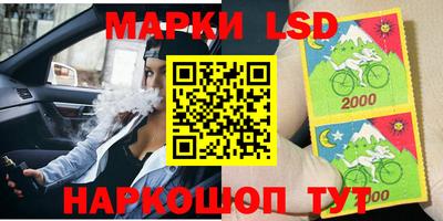 прущие грибы Среднеуральск
