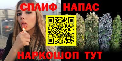 прущие грибы Среднеуральск