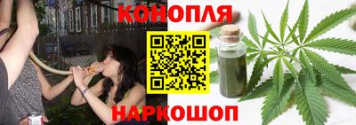 прущие грибы Среднеуральск