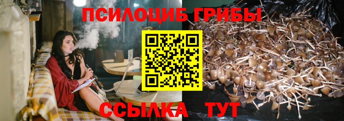 Новоалександровск  Галлюциногенные грибы мухоморы  сколько стоит  Вход с VPN 